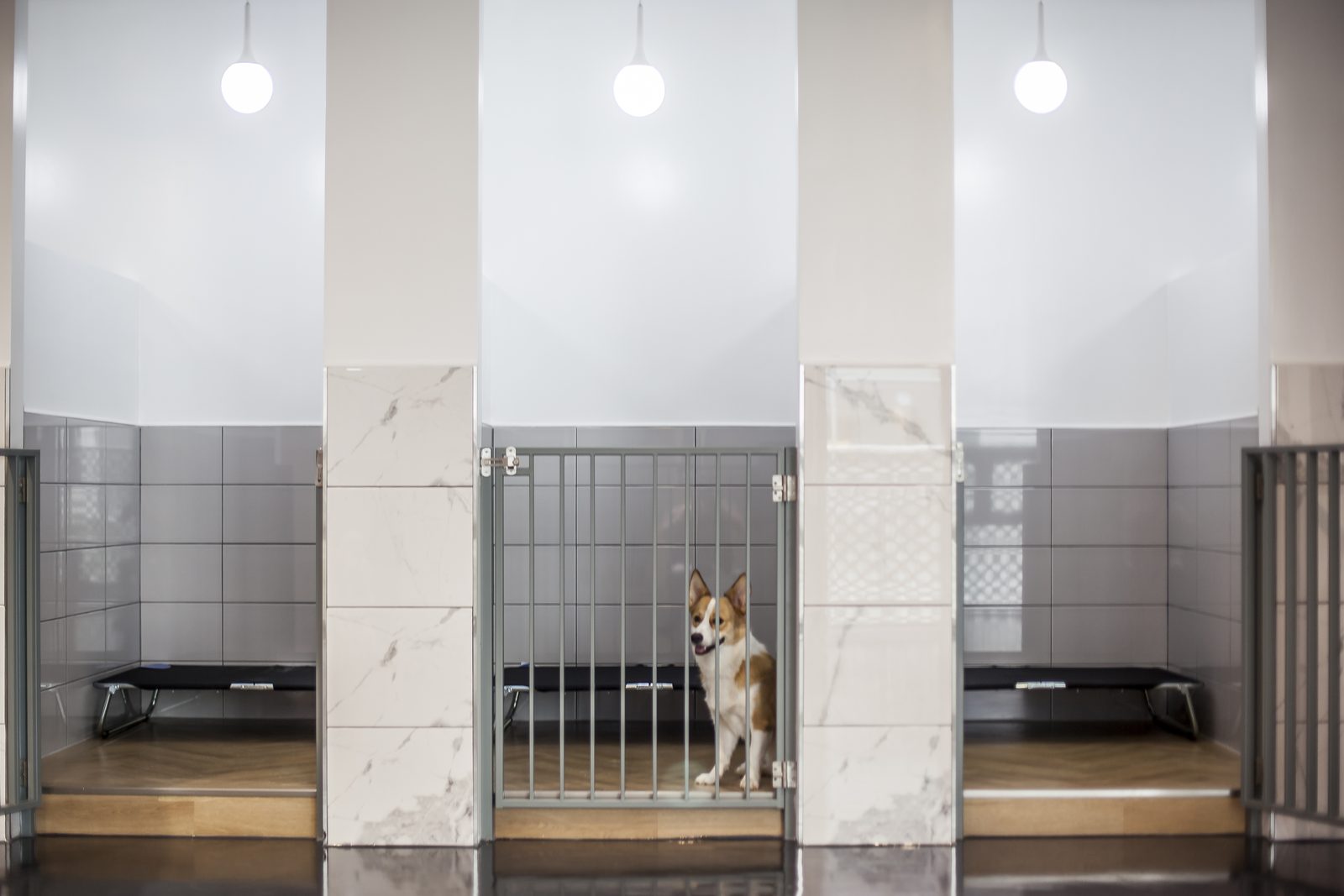 서울 독얀트리 도그호텔 준공사진 24