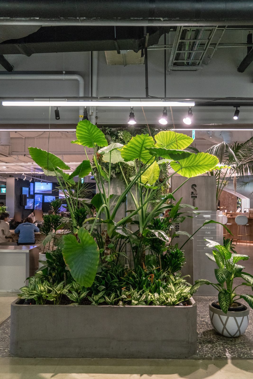서울 STEM Coffee 준공사진 2