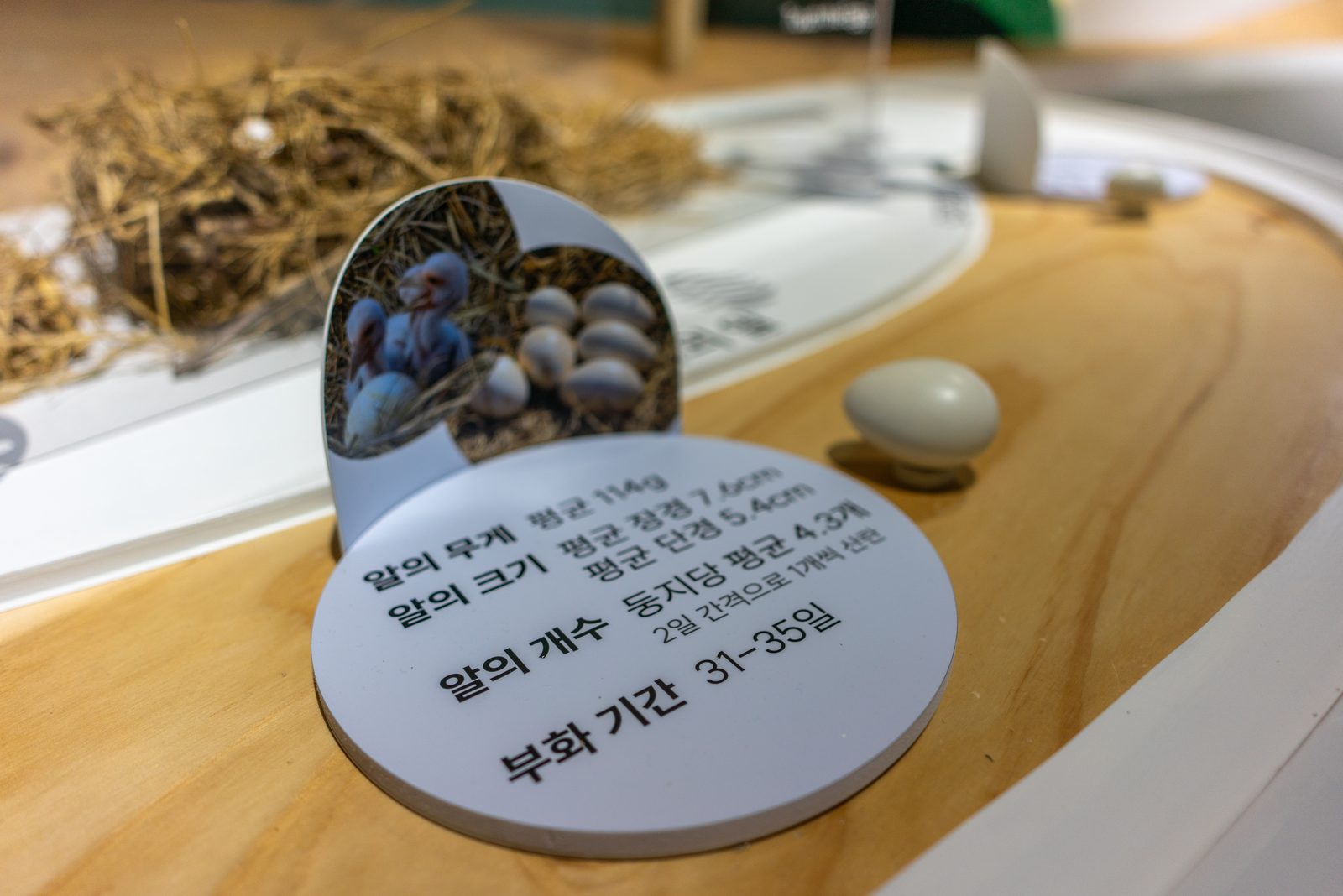 예산 황새공원 준공사진 14