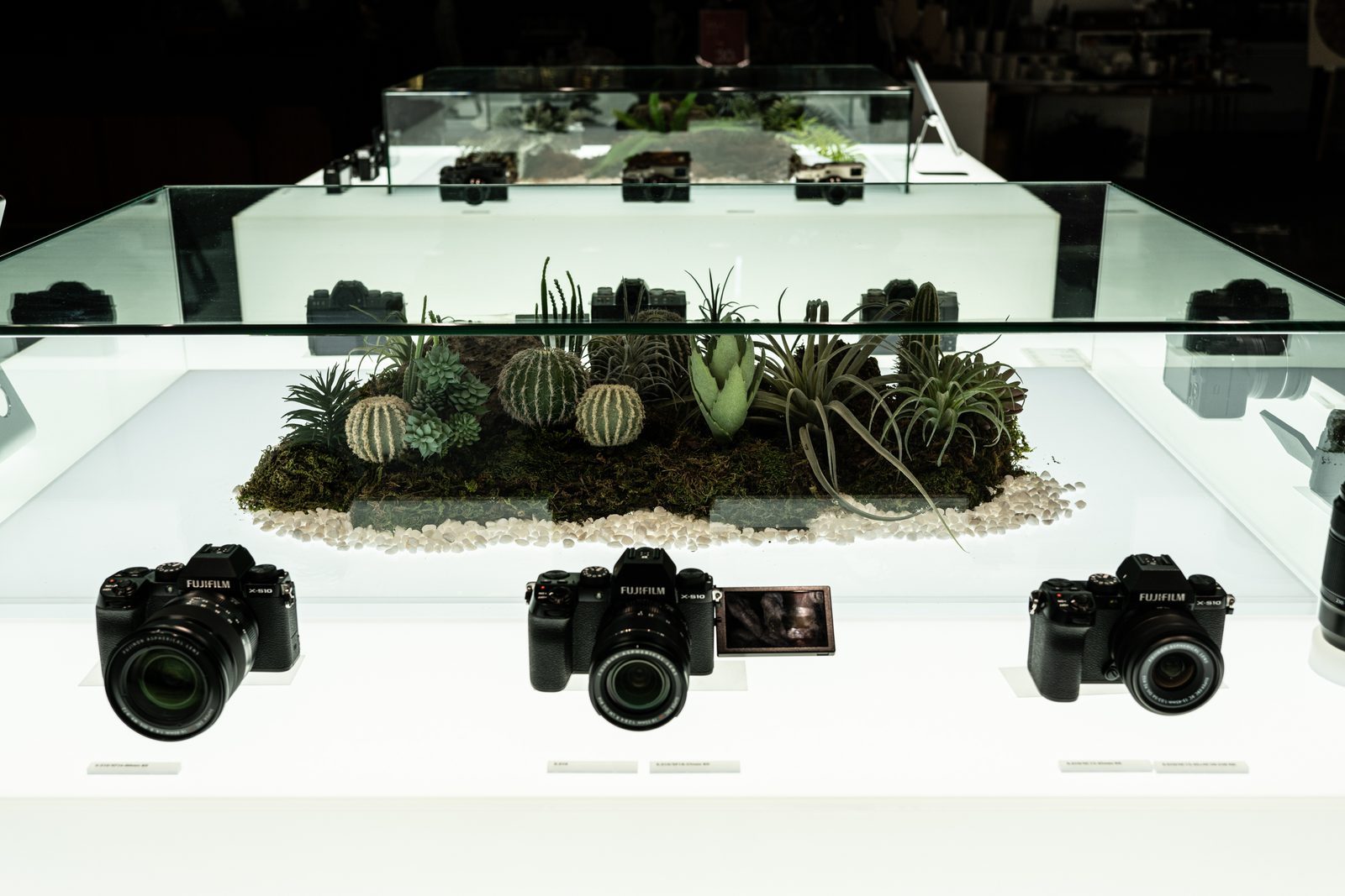 잠실 FUJIFILM 시그니엘점 준공사진 8
