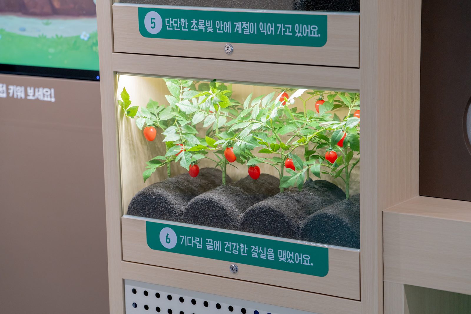 곤지암 유기농산업복합센터 준공사진 36