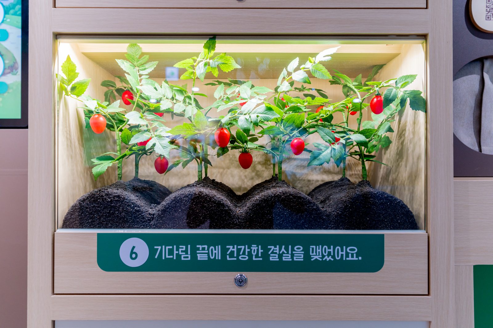 곤지암 유기농산업복합센터 준공사진 34